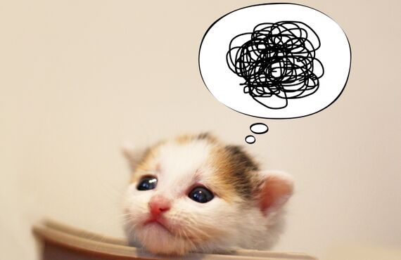 やる気が出ない時には