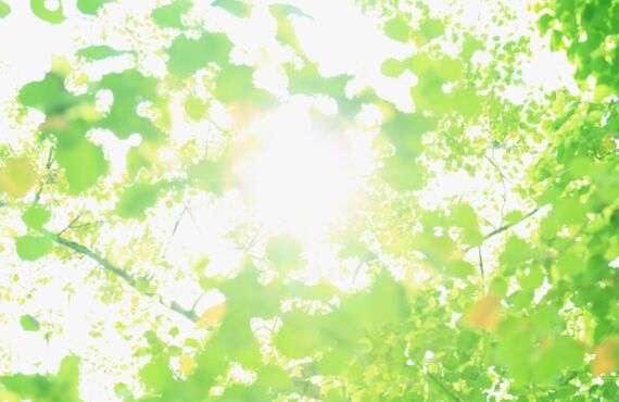 不登校の原因や背景はさまざま